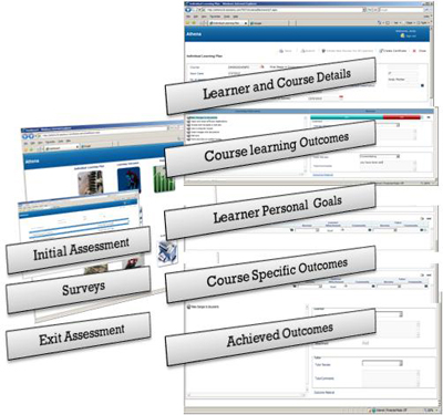 Individual Learning Plan Summary